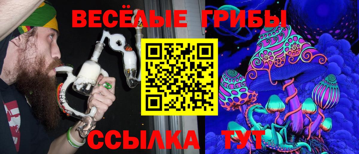 Галлюциногенные грибы прущие грибы Большой Камень