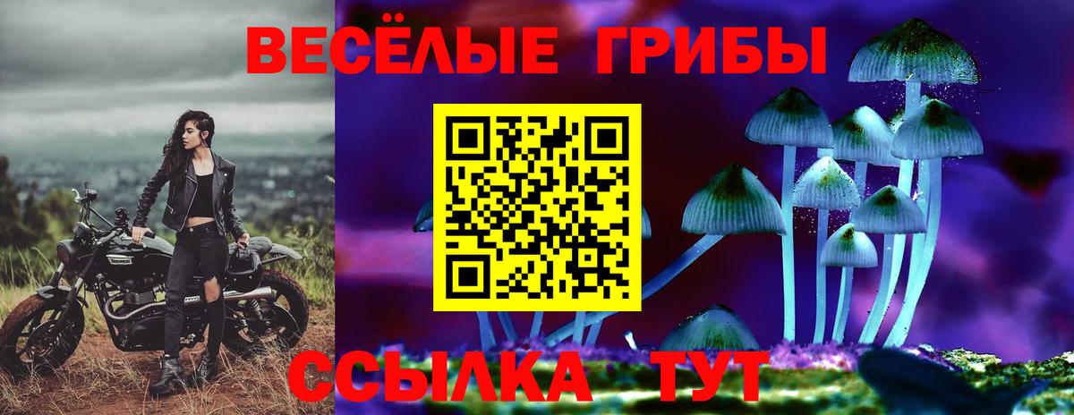 Большой Камень  Галлюциногенные грибы мухоморы  Вход с VPN  Галлюциногенные грибы MAGIC MUSHROOMS 